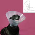Collar isabelino KVP (27-31 cm)