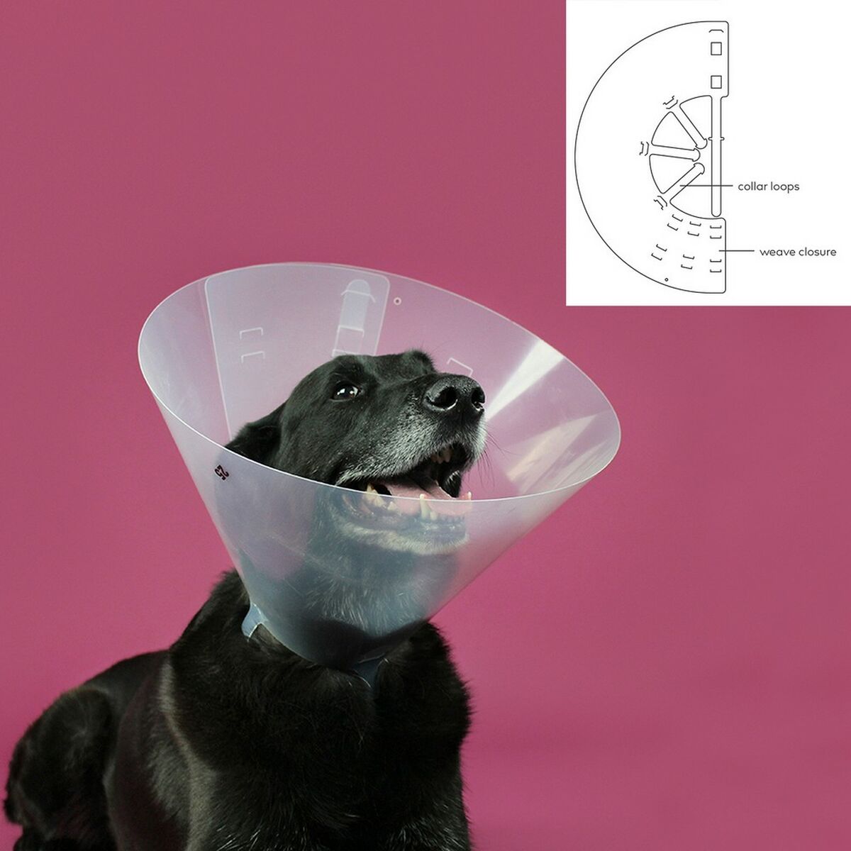 Collar isabelino KVP (22-26cm)
