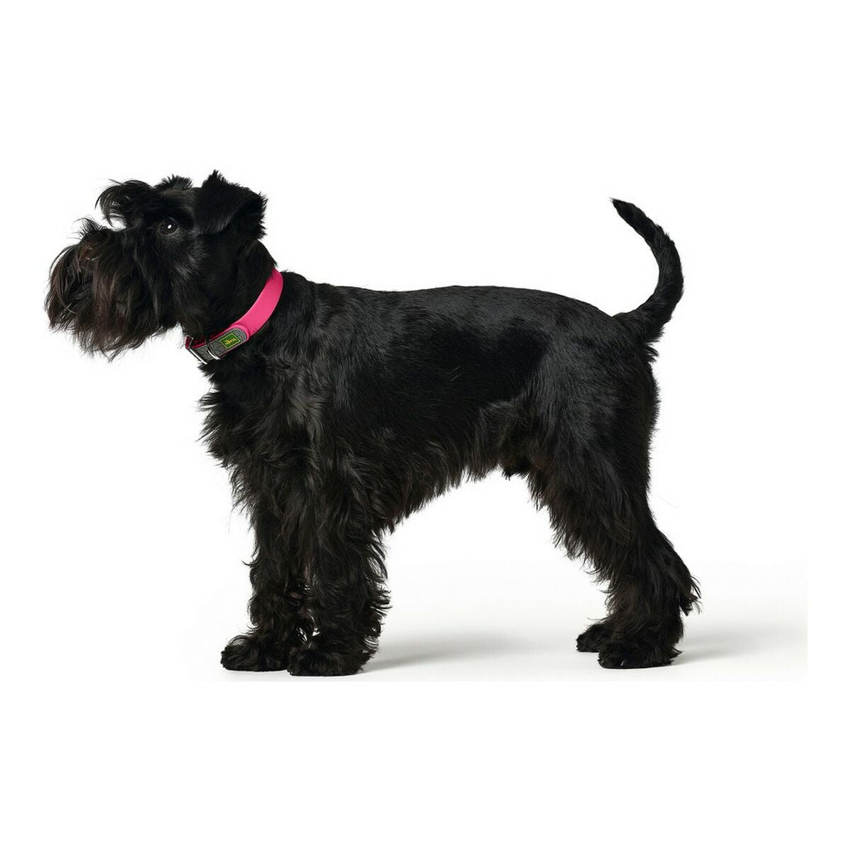 Collar para perros Hunter M/L (42-50 cm)