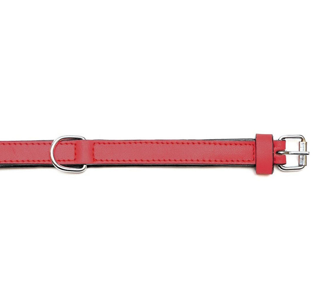 Collar para perros Gloria (30 x 1,5cm)