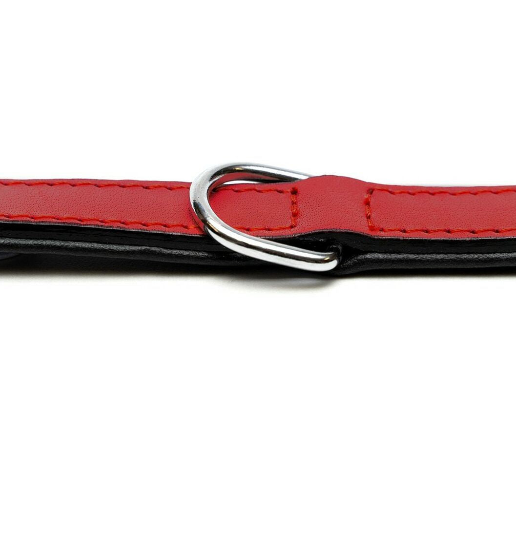Collar para perros Gloria (30 x 1,5cm)