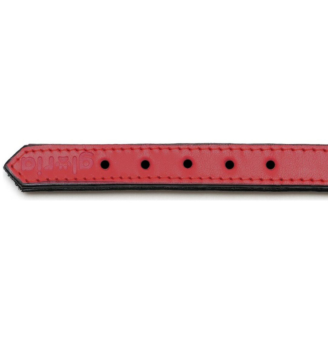 Collar para perros Gloria (30 x 1,5cm)