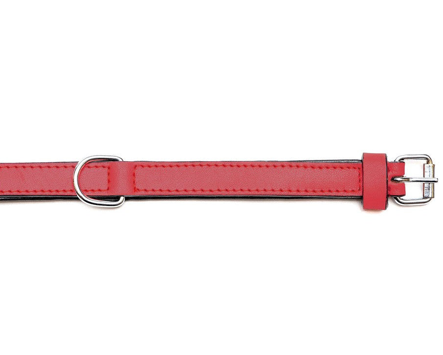 Collar para perros Gloria (55 x 2,5cm)