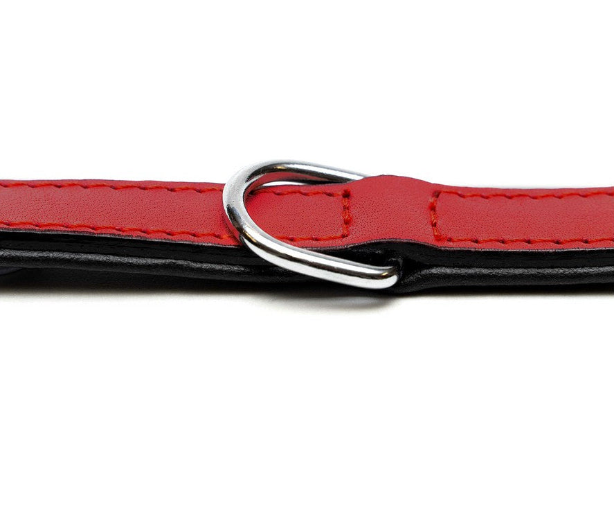 Collar para perros Gloria (55 x 2,5cm)