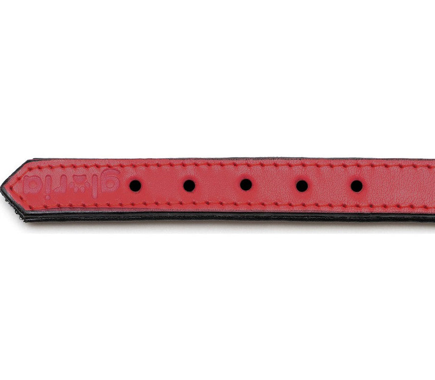 Collar para perros Gloria (55 x 2,5cm)