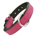 Collar para perros Gloria (45 x 2cm)