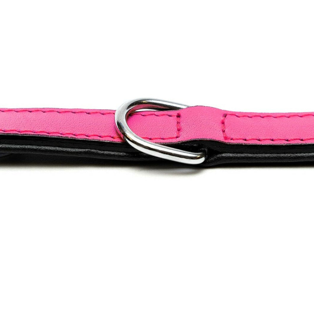 Collar para perros Gloria (45 x 2cm)