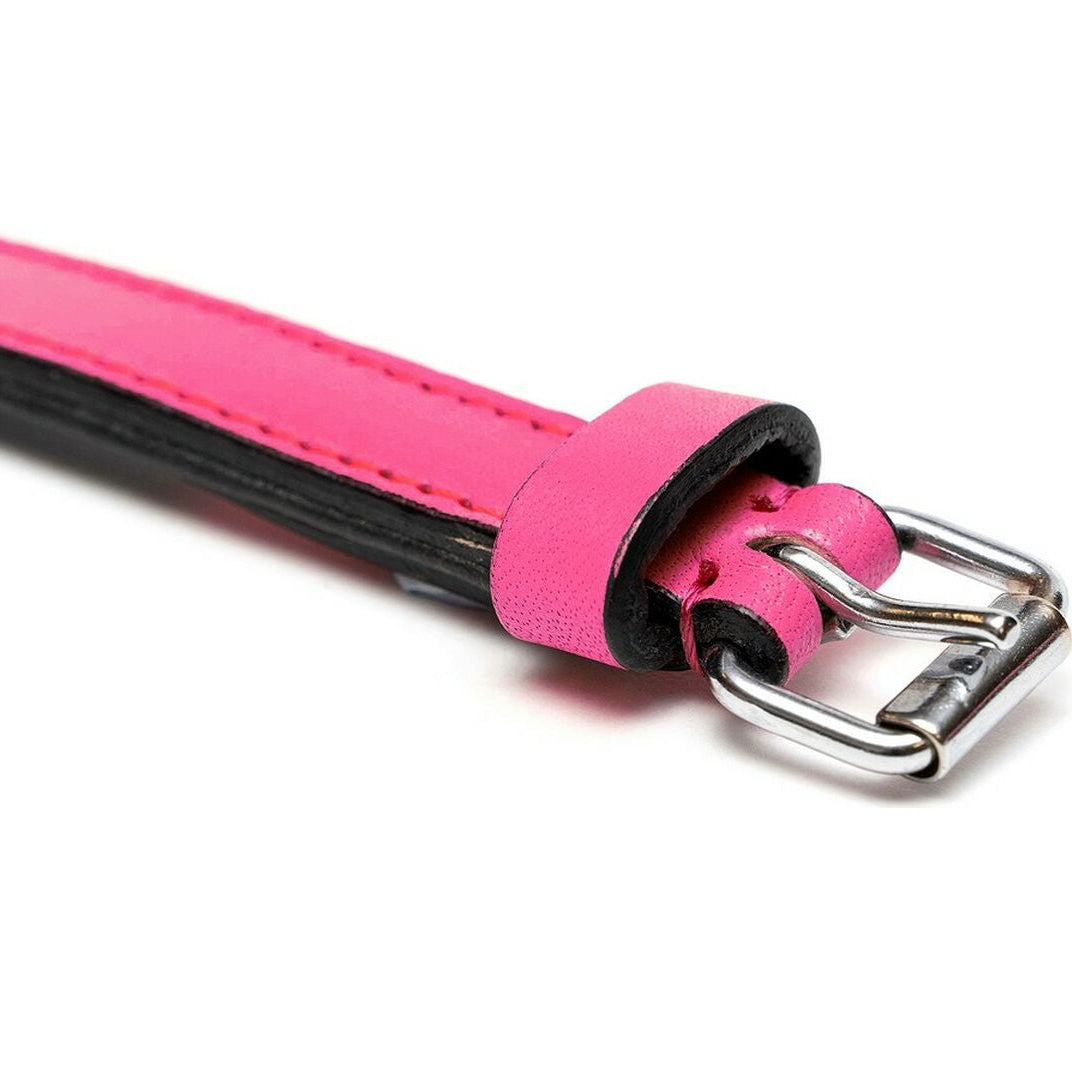 Collar para perros Gloria (45 x 2cm)