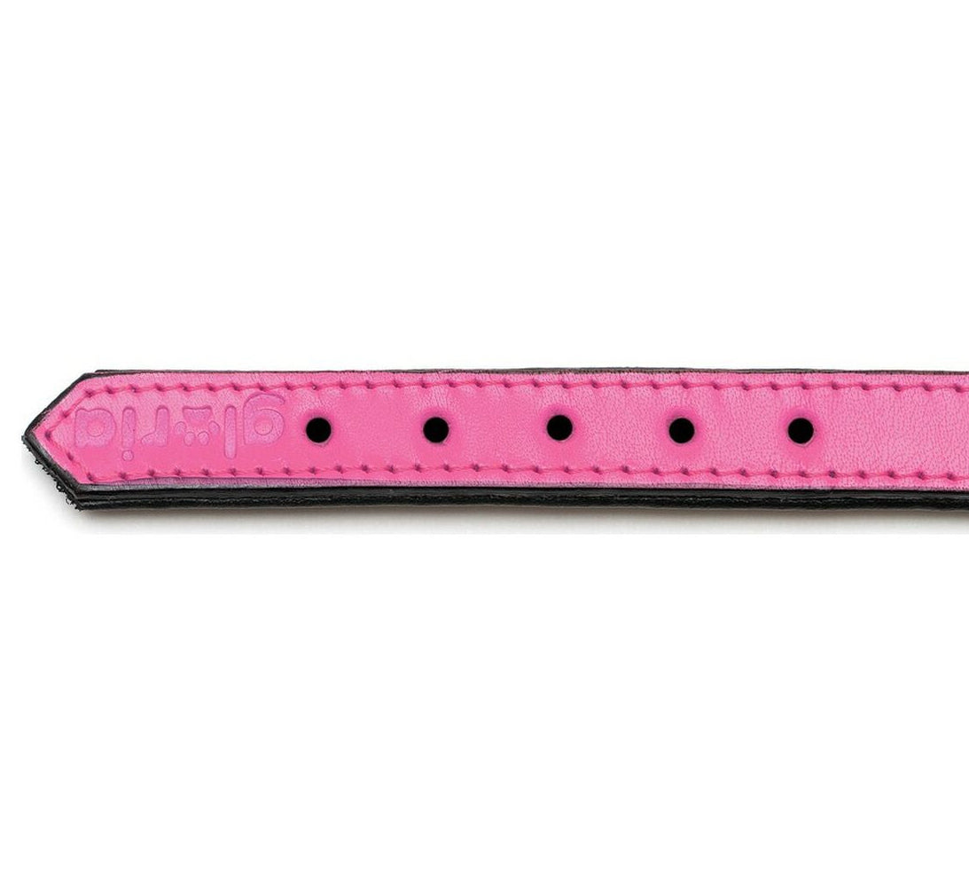 Collar para perros Gloria (45 x 2cm)