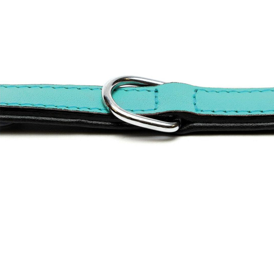 Collar para perros Gloria (45 x 2cm)