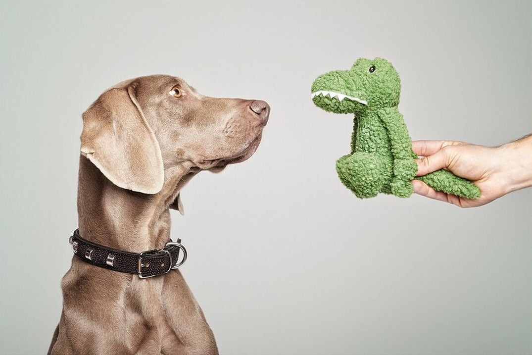 Juguete para perros Gloria