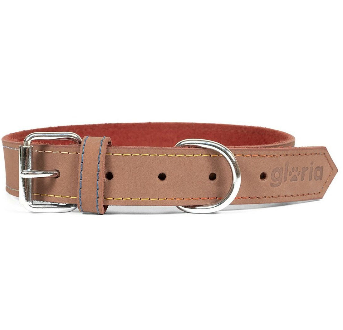 Collar para perros Gloria (65 x 3cm)