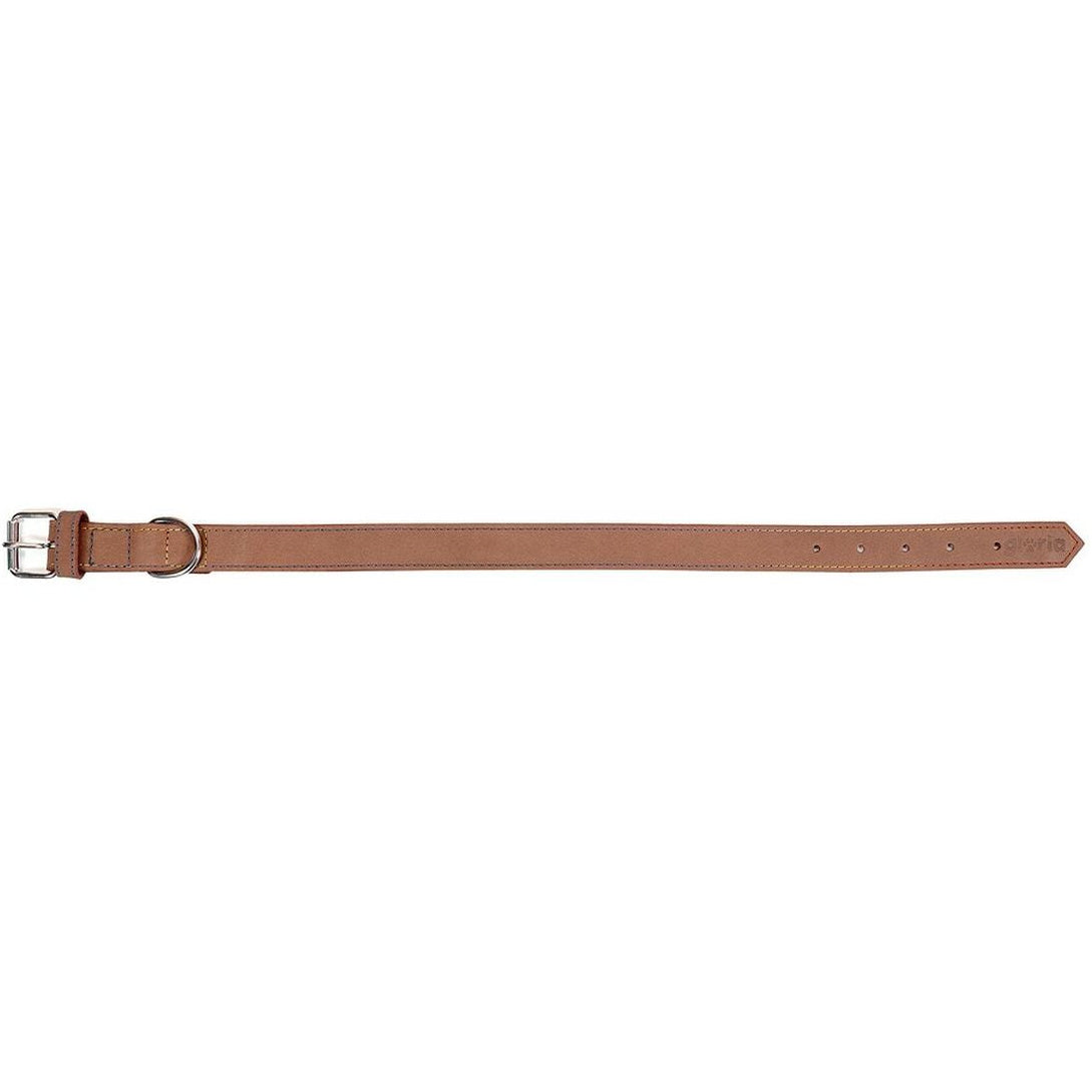 Collar para perros Gloria (65 x 3cm)