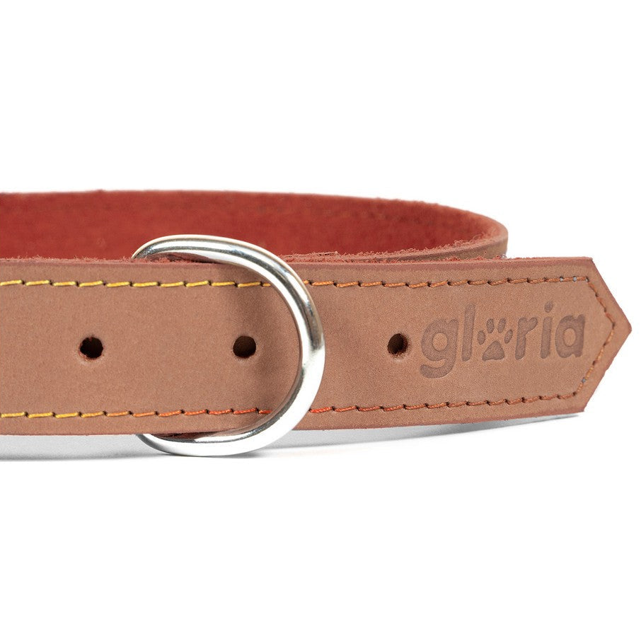 Collar para perros Gloria (65 x 3cm)