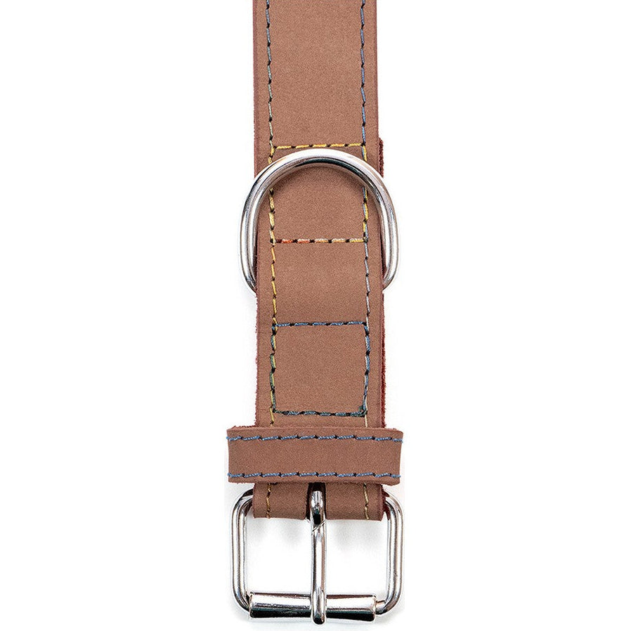 Collar para perros Gloria (65 x 3cm)