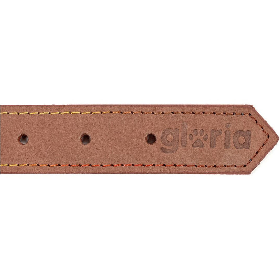 Collar para perros Gloria (65 x 3cm)