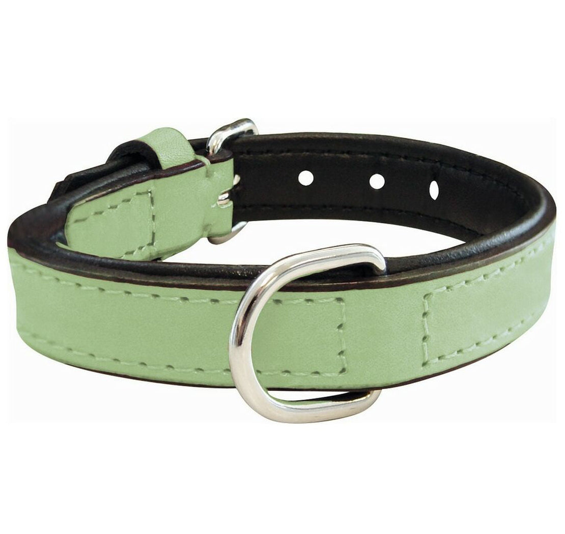Collar para perros Gloria (55 x 2,5cm)