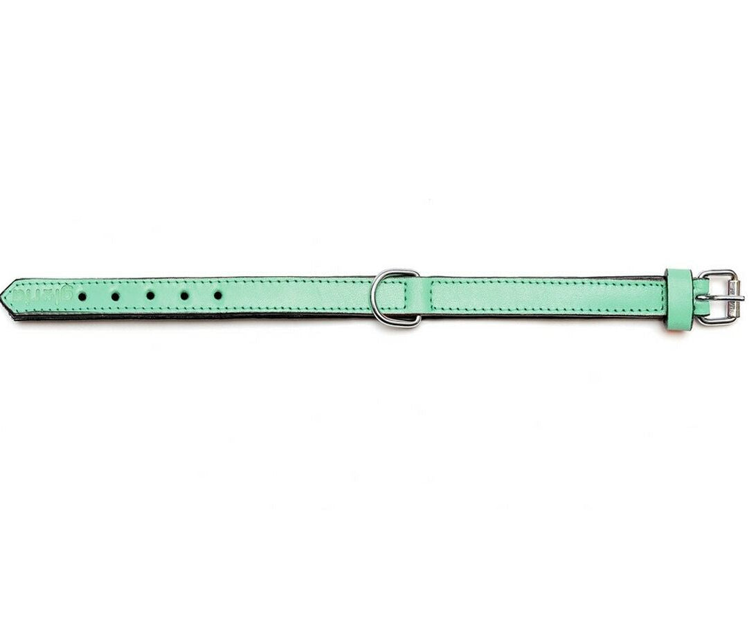 Collar para perros Gloria (55 x 2,5cm)