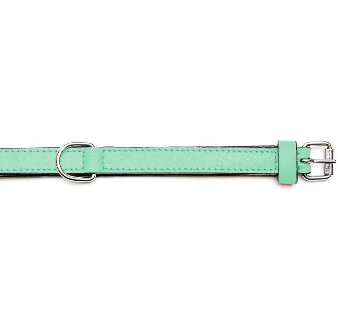 Collar para perros Gloria (55 x 2,5cm)