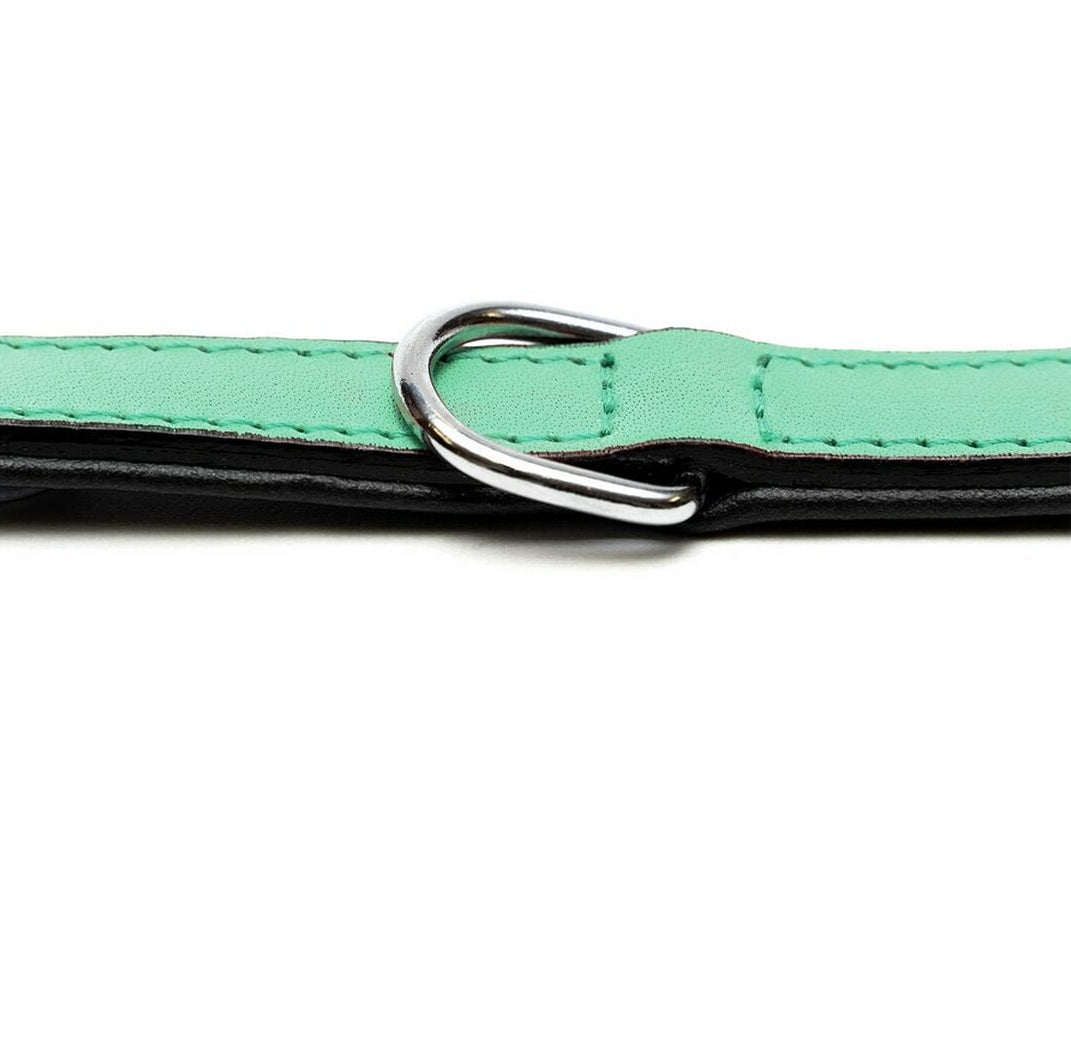 Collar para perros Gloria (55 x 2,5cm)
