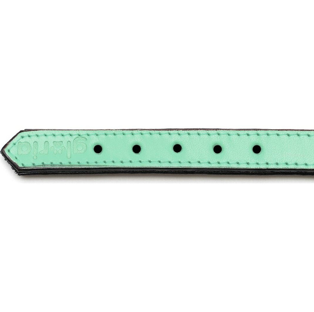 Collar para perros Gloria (55 x 2,5cm)