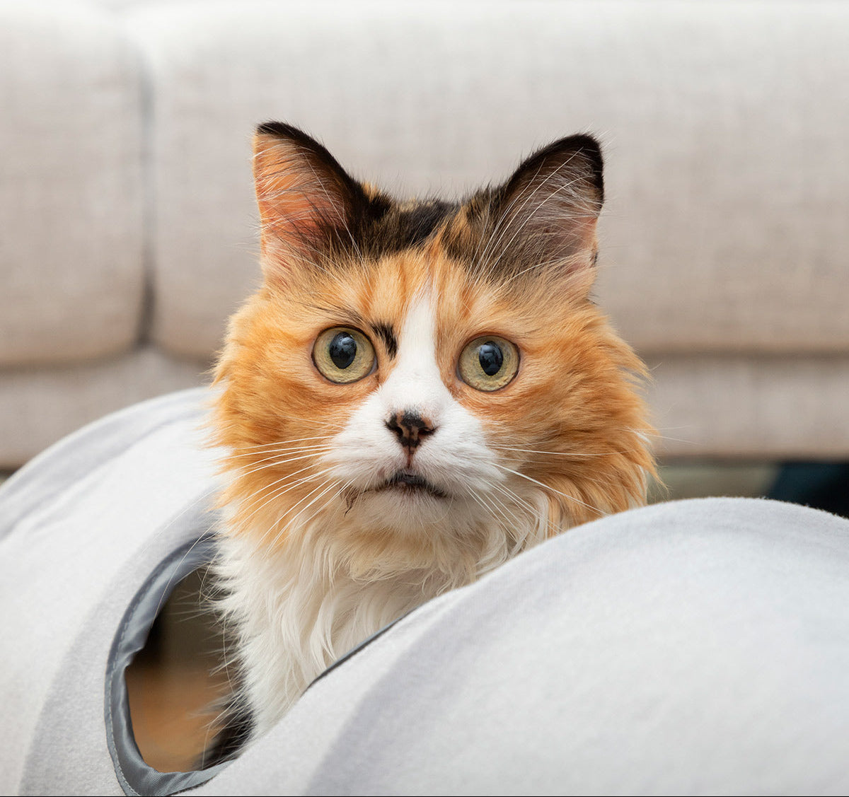 Collapsible Pet Tunnel Funnyl InnovaGoods