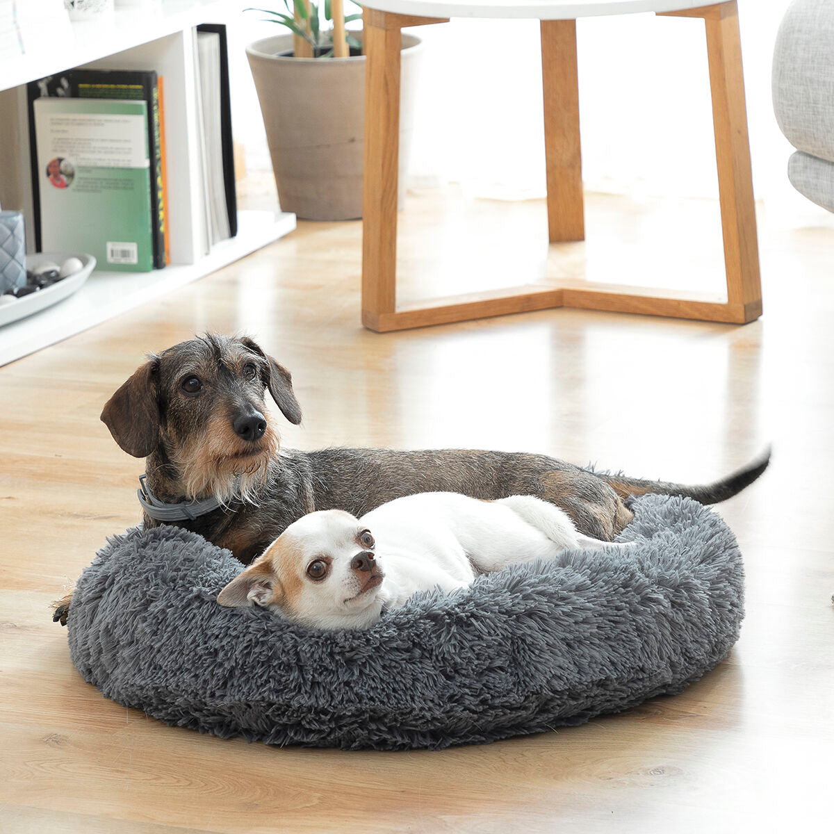 Cama anti-estrés para mascotas InnovaGoods (60 cm)