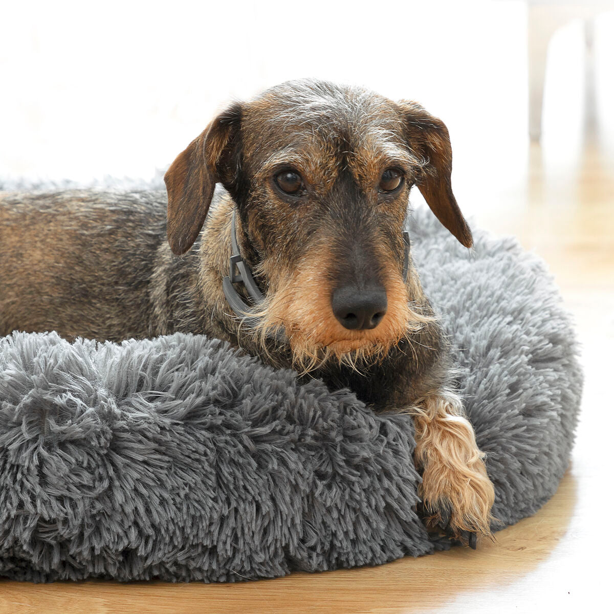 Cama anti-estrés para mascotas InnovaGoods (60 cm)