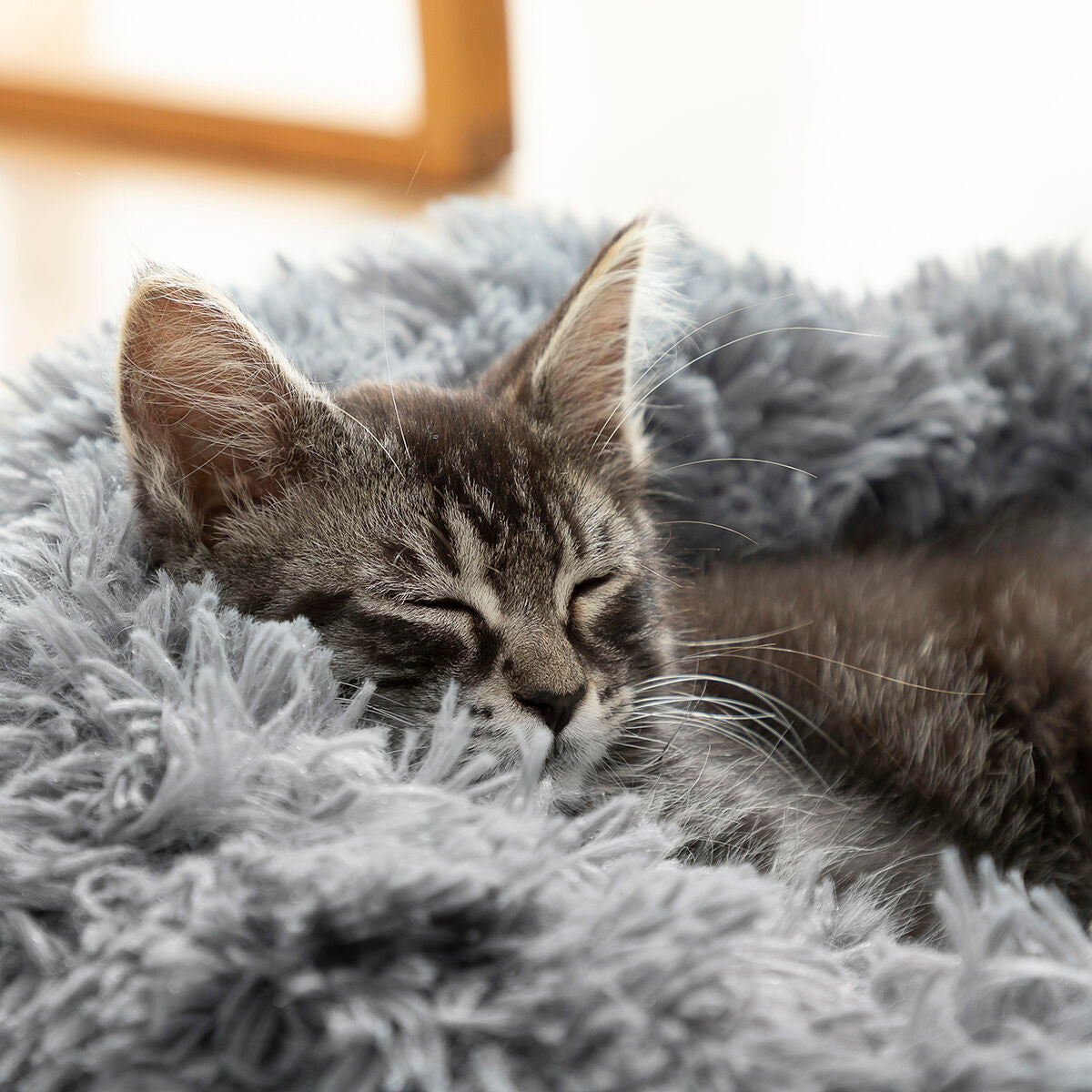 Cama anti-estrés para mascotas InnovaGoods (60 cm)