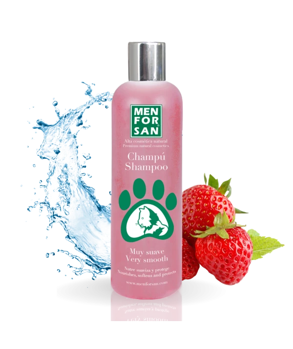 Champú Menforsan 300ml
