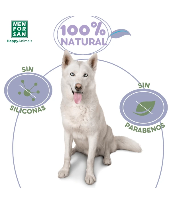 Champú para pelo blanco Menforsan 300ml