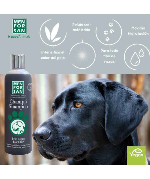 Champú para pelo negro Menforsan 300ml