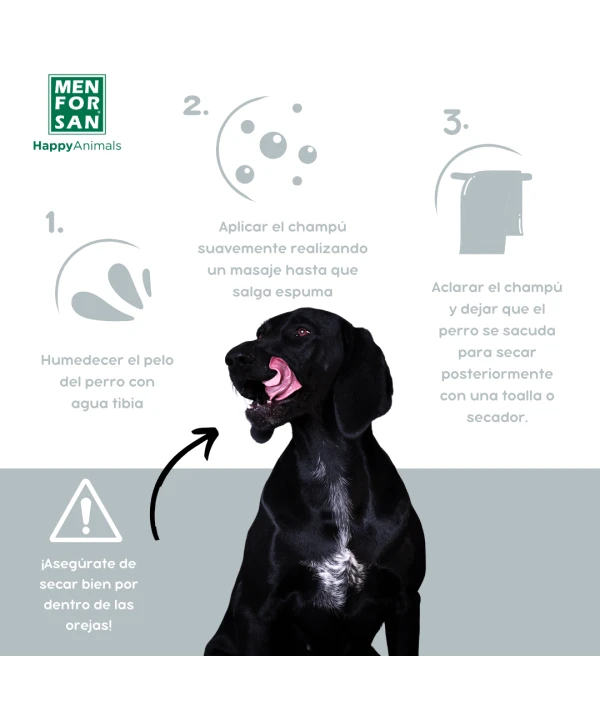 Champú para pelo negro Menforsan 300ml