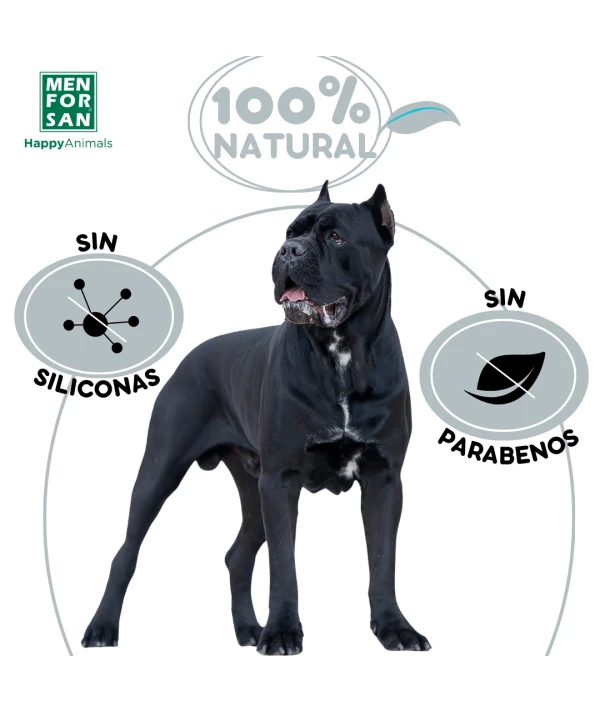 Champú para pelo negro Menforsan 300ml
